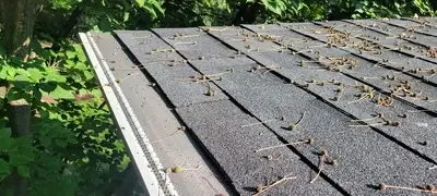 Gutter Installation Project