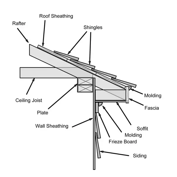 Fascia board anatomy diagram - Need: 600x400px labeled diagram showing fascia board location and components