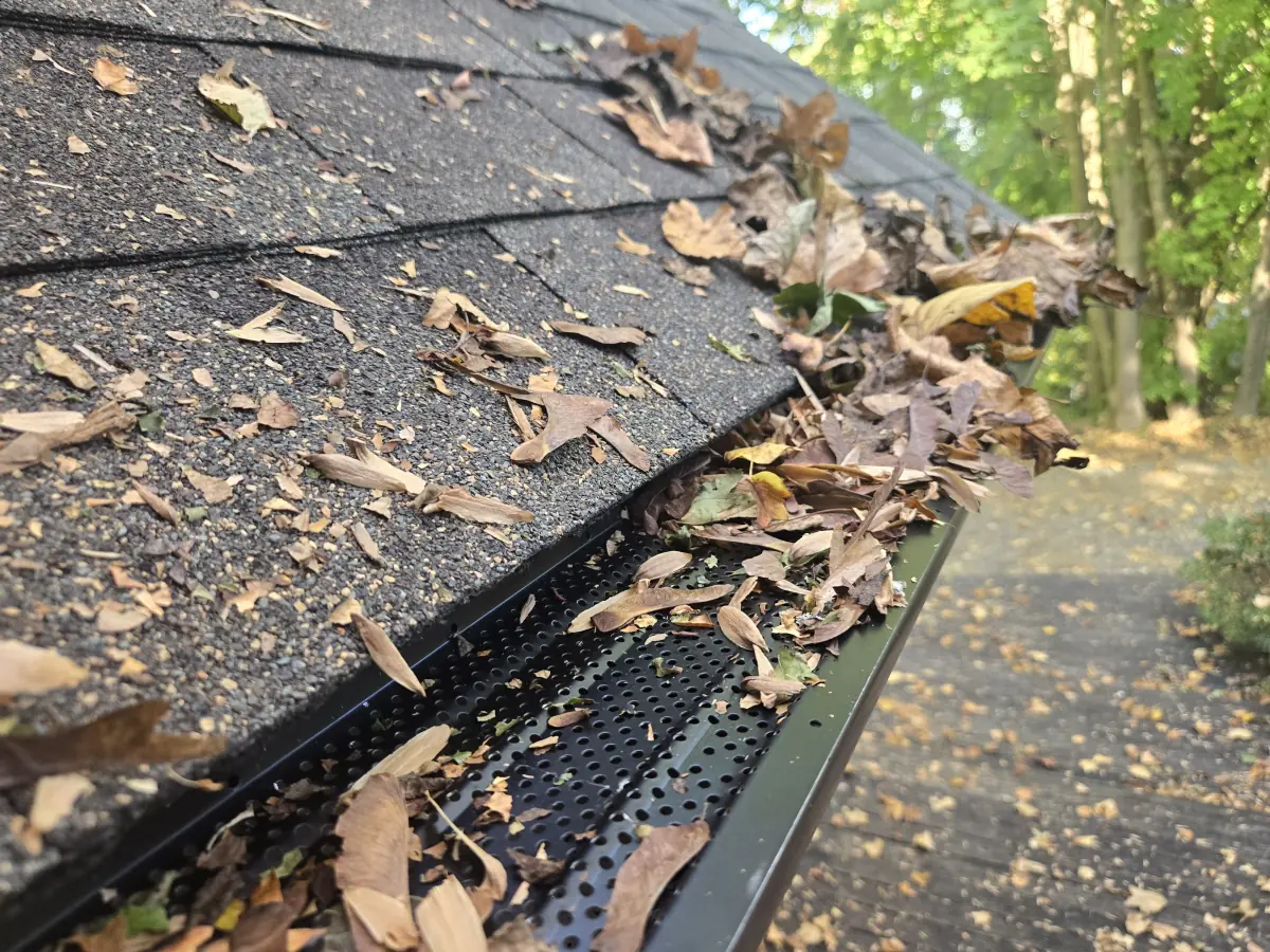 Rapid Drain System Installation